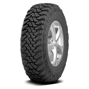 Accelera M/T-01
