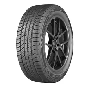 Goodyear Eagle Sport 2