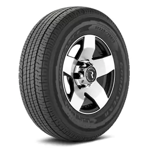 Goodyear Endurance