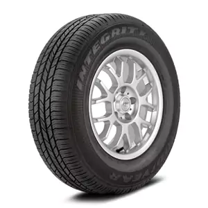 Goodyear Integrity