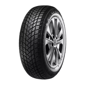 GT Radial WinterPro 2