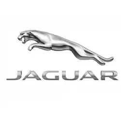 Jaguar Tires Jaguar